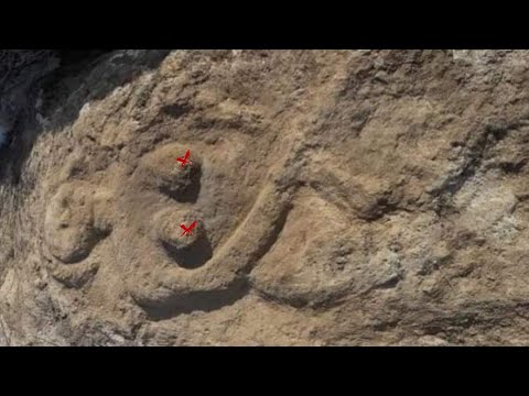 Büyük Define Kasası Buldum