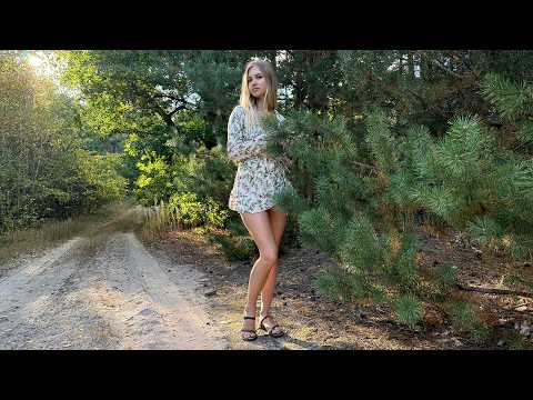 Following the Pine Needle Path Serene Forest Journey with