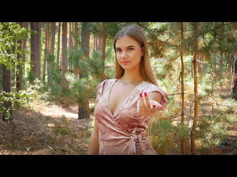 Autumn Pine Forest Walking Follow the Liza
