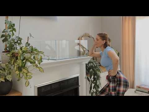 Unboxing My New Landen Tank Resetting My Planted Tank