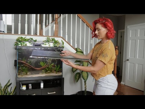 How I Control Algae Cleaning out a VERY dirty filter