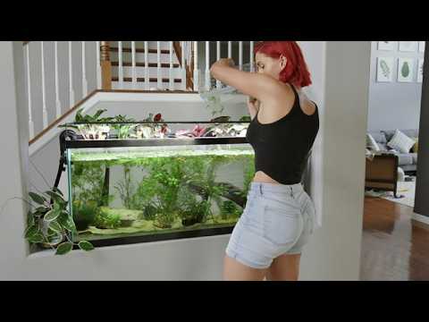 Cleaning My Fluval 407 Canister on my 55 gallon Fish Tank
