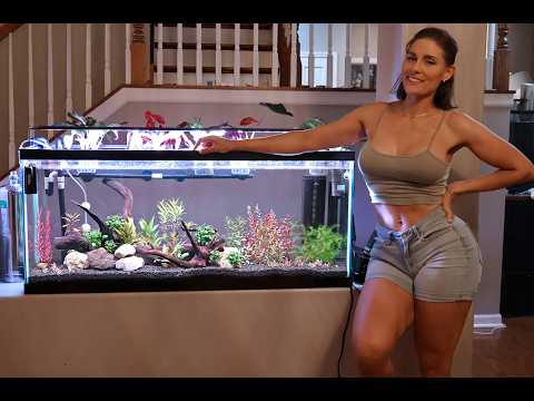 55 Gallon Planted Tank With CO2 Time to Sit Back and Watch