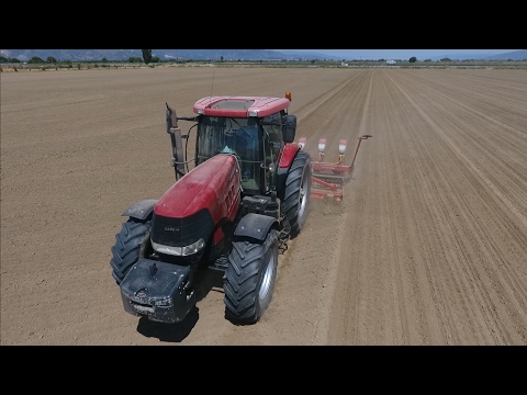 Case IH Puma 225 CVX