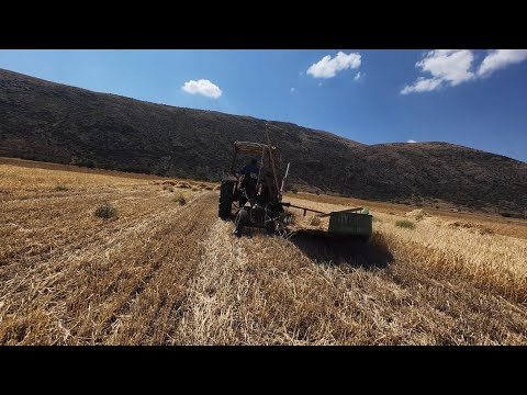 ESKİ YÖNTEM ARPA HASADI