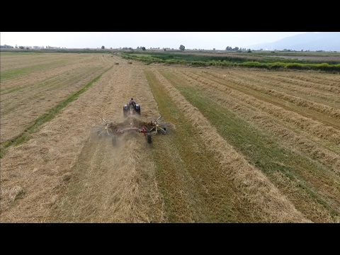 New Holland TT50