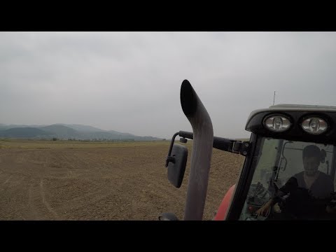 Kükrüyor Resmen 4 Silindirli Traktör Sesi Massey Ferguson
