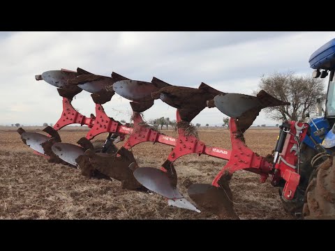 Hiç Sürülmemiş Tarlayı Sürmeye Çalışıyoruz Alpler Pulluk