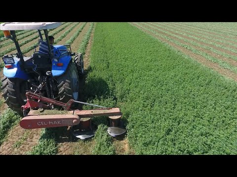 Tamburlu yonca biçime makinesi New Holland TD100