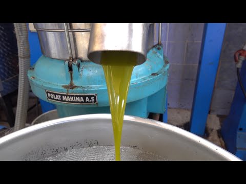 Naturel Sızma Zeytinyağı Fabrikası