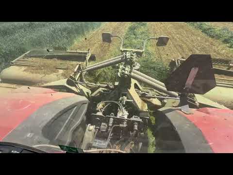 Massey Ferguson 8S 265