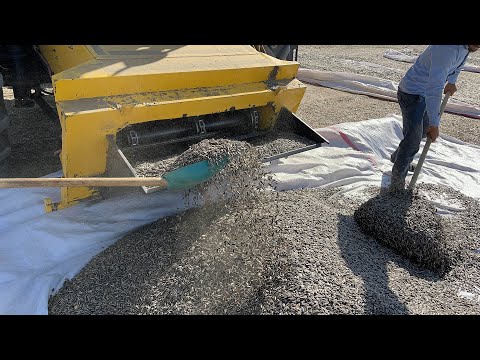 ÇİTLEMELİK AYÇİÇEĞİ ELEME İŞLEMİ