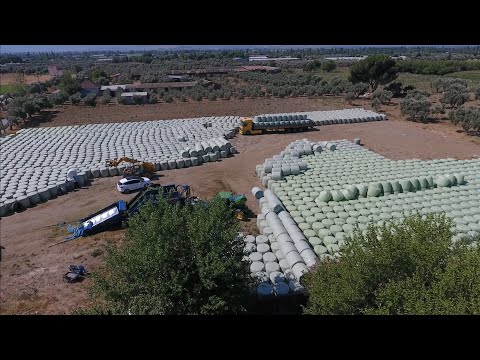 Yonca silajı paketleme
