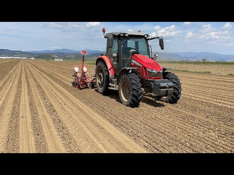 GPS Lİ TRAKTÖRLE FASULYE EKİMİ