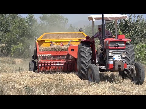 Efsane Balya Basıyor MF 175