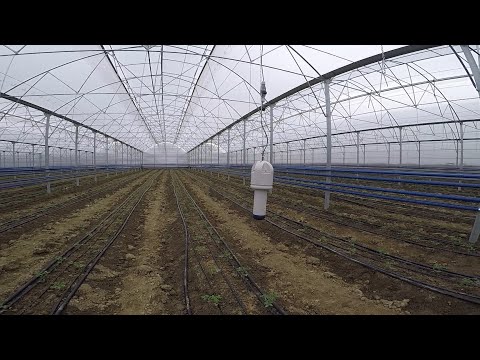 Böylesini Görmediniz Bu Sera Para Basacak Türkiyenin En