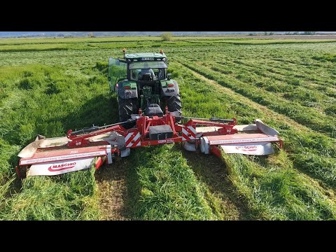 Çok Temiz Biçim Yapıyor Arpa Otu Hasadı