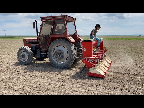 ŞEKER PANCARI GÜBRELEMELİ ARA ÇAPASI