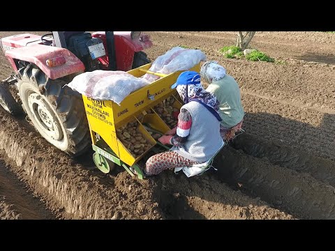 Patates Ekimini Biz Böyle Yapıyoruz