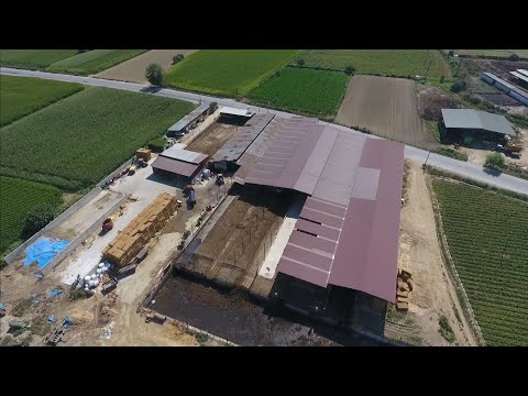 Hayvancılık yapanlar için örnek bir çiftlik