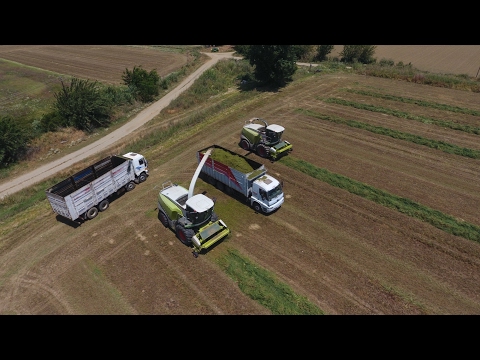 Yonca Silajı 2x Claas Jaguar 960 940