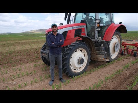 BİN DEKAR SULU TARIM YAPAN ÇİFTÇİ ANLATIYOR