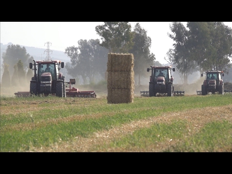 Case IH 230 130 110