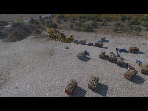 Şeker Pancarı Alım Merkezi Isparta Büyükkabaca