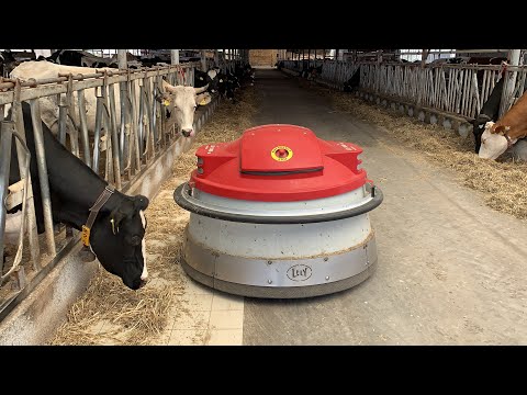 500 BAŞ ROBOTİK SAĞIM SÜT ÇİFTLİĞİ