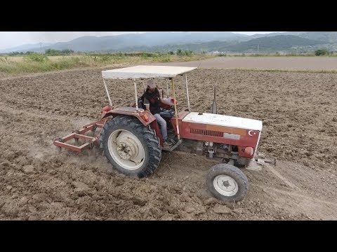 Toprak Çok Sert Traktör Ne Yapsın Steyr 768