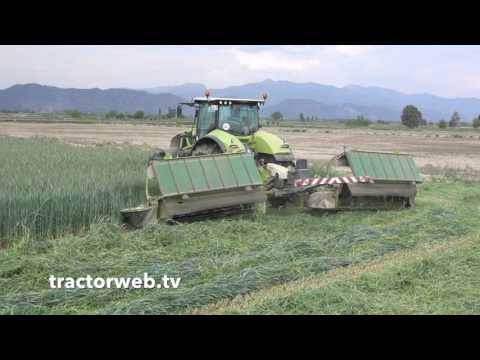 Tritikale otu Claas axion 930