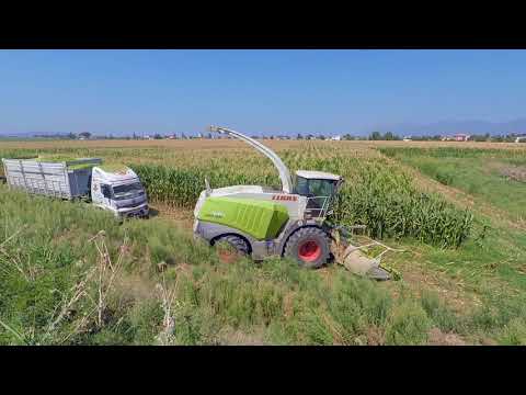 Mısır Silajı Claas 940 Jaguar