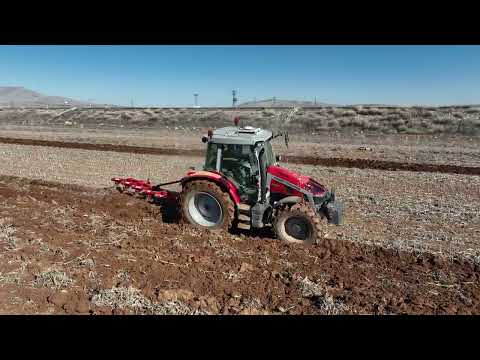 ŞANZIMAN DAN İYİ SES GELİYOR