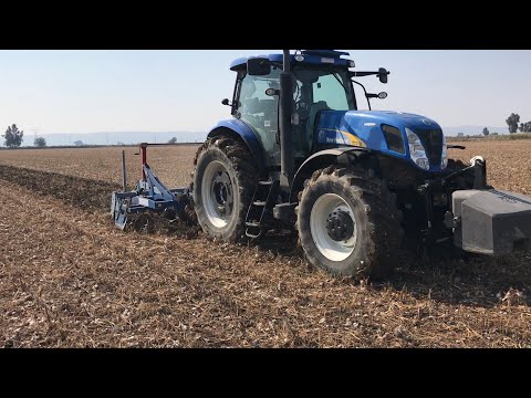 Bu Çizel Çok Farklı Bitkiyi Kökünden Söküyor