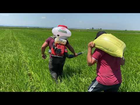 SIRT TİPİ ÇELTİK GÜBRELEME MAKİNASI