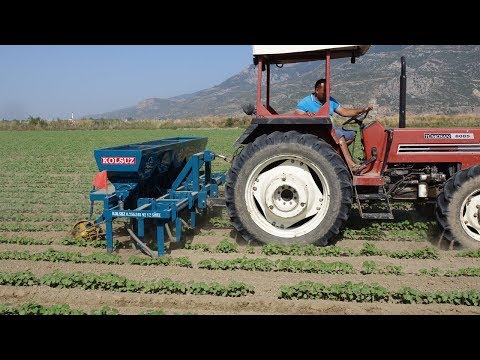 Sıraya Ekilmiş Olan Her Mahsulün Gübreleme ve Çapalaması