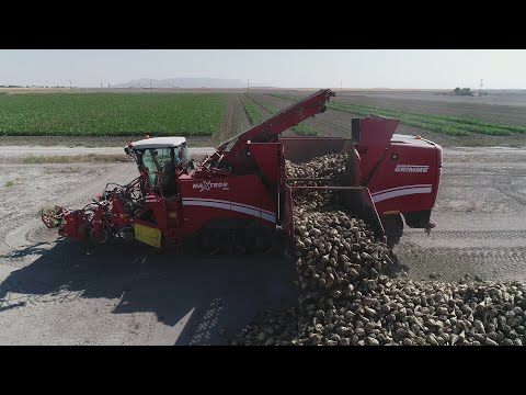 Pancar Sökümünde Son Teknoloji 6 Sıralı