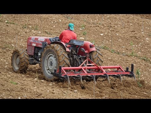 Bu Traktör Bahçe İşlerinde Çok İyi MF 3 060