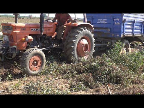 Türk usulü Traktör kurtarma Fiat 640