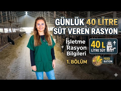 Günlük Ortalama 40 Litre Süt Veren işletme Rasyon Bilgileri