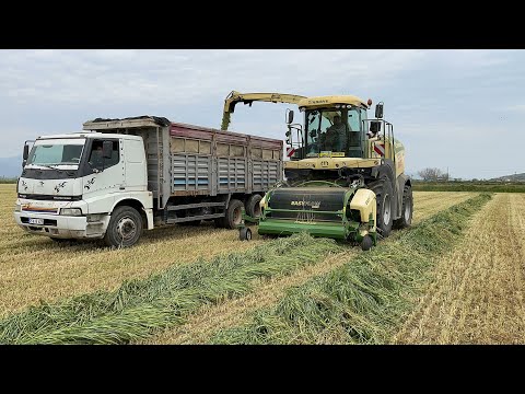 ARPA BUĞDAY TRİTİKALE KARIŞIM SİLAJ