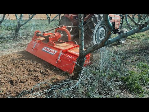 Kolaylık ve Performans Bir Arada Kaydırmalı Bahçe