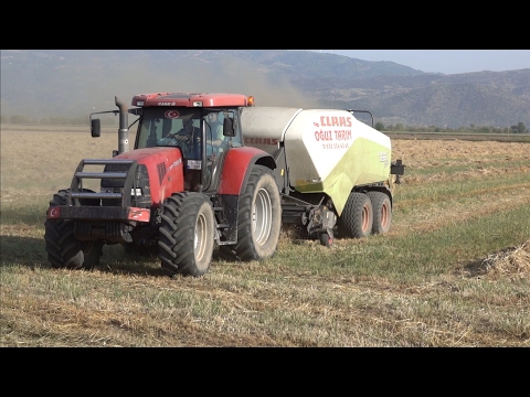 Case IH Puma 175 CVX Claas Quadrant 3200