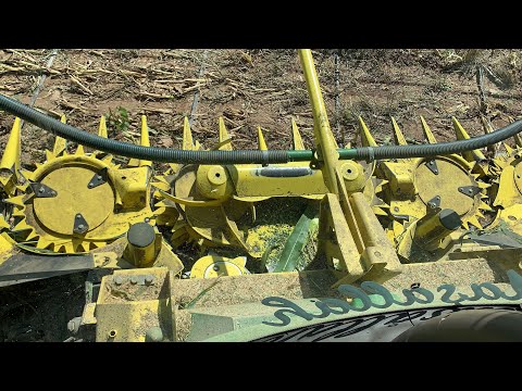 MISIR SİLAJI BİÇİMİ JOHN DEERE 8400