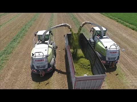 Yonca Silajı 2X Claas Jaguar