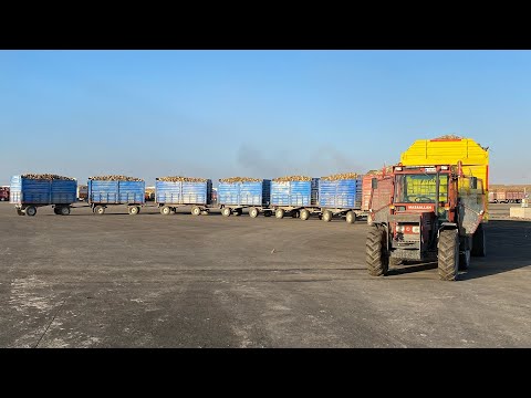 170 TON YÜKLE KALKARMI TÜMOSAN 8095