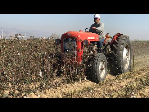 56 Yas ında Massey Ferguson X35 Nam ı Diğer Çarpılı Massey