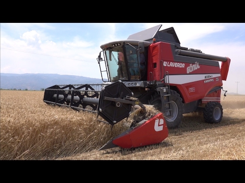 Buğday Hasadı Laverda M300 MCS