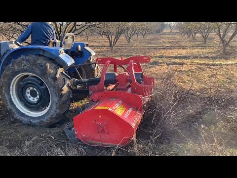 İŞİN KOLAYINI BULDUK SONUNDA