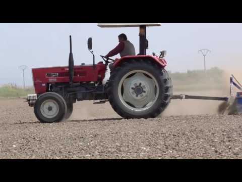 Başak 2073 SH